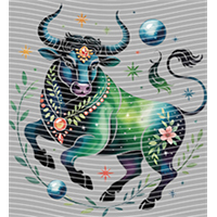 Constellation-XZ 198